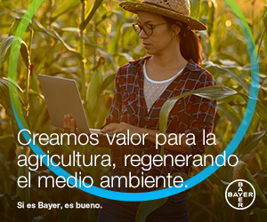 Google search engine