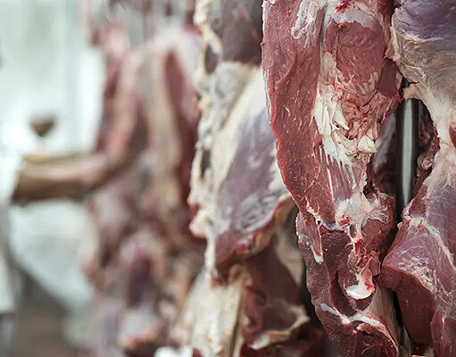 Combo explosivo: los factores que hoy afectan a la industria frigorifíca