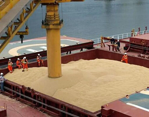 El Crushing de soja vuelvea máximos históricos