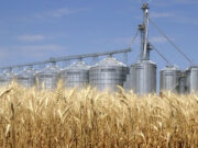 La Federación de Acopiadores celebra la extensión de la rebaja de retenciones a la cosecha fina y pide que se incluya a la gruesa