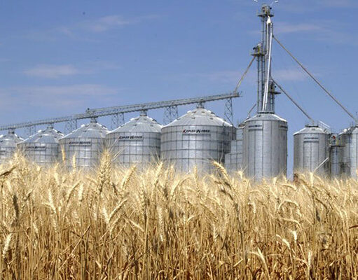 La Federación de Acopiadores celebra la extensión de la rebaja de retenciones a la cosecha fina y pide que se incluya a la gruesa