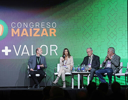 Nueva ley de biocombustibles: la meta es no perder el tren que lideran Brasil y Paraguay en la región Nueva ley de biocombustibles: la meta es no perder el tren que lideran Brasil y Paraguay en la región