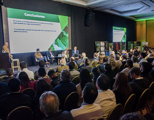 El futuro de las legumbres en Argentina: Desafíos y oportunidades en un mercado globalizado El futuro de las legumbres en Argentina: Desafíos y oportunidades en un mercado globalizado