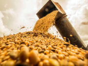 Es crítico darle competitividad al sector con mayor potencial de la economía para que el país crezca sostenidamente saliendo del estancamiento Es crítico darle competitividad al sector con mayor potencial de la economía para que el país crezca sostenidamente saliendo del estancamiento