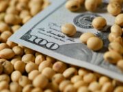 La agro exportación ingresó u$s 3.706 millones de dólares en junio La agro exportación ingresó u$s 3.706 millones de dólares en junio