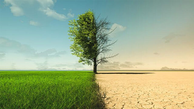 La FAUBA en la agenda del Cambio Climático