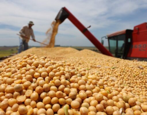 Por la baja permanente de retenciones, el agro proyecta un 8% más de producción y 28.800 millones de dólares extra a 10 años La agro exportación ingresó u$s 760 millones de dólares en noviembre
