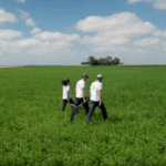 Innovación con impacto para transformar la salud y el agro en Cono Sur