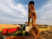 Alivio con sabor amargo: el agro cuestiona la eliminación temporal de retenciones Alivio con sabor amargo: el agro cuestiona la eliminación temporal de retenciones