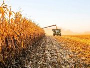 Los productores, otra vez fuera del negocio de la baja de retenciones Los productores, otra vez fuera del negocio de la baja de retenciones