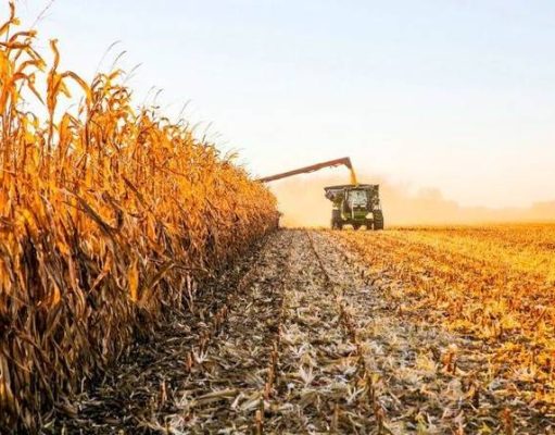 Los productores, otra vez fuera del negocio de la baja de retenciones Los productores, otra vez fuera del negocio de la baja de retenciones
