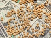 El Gobierno elimina retenciones a los granos hasta el 31 de octubre para atraer dólares El Gobierno elimina retenciones a los granos hasta el 31 de octubre para atraer dólares