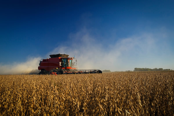 sustentabilidad-acsoja