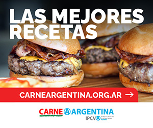 Google search engine