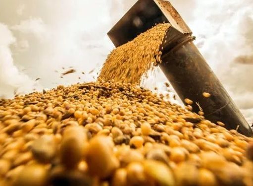 Impacto de la baja de DEX entre los principales productos agro La agro exportación ingresó u$s 1.117 millones de dólares en octubre