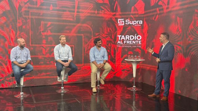 La clave genética y económica para fortalecer la estabilidad del maíz tardío