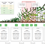 CRONOGEN Trigo: Una ventana al futuro para lograr mejores rindes