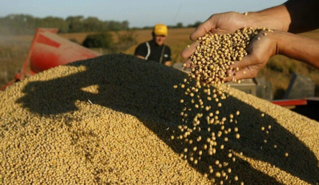 Inminente cierre de las exportaciones de biodiesel de soja a la UE