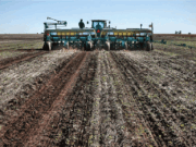 Máximo histórico de la actividad de la cadena agropecuaria Máximo histórico de la actividad de la cadena agropecuaria