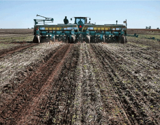 Máximo histórico de la actividad de la cadena agropecuaria Máximo histórico de la actividad de la cadena agropecuaria