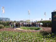 Cerrar brechas, integrar soluciones y trabajar en red: la propuesta de Bayer en Expoagro Cerrar brechas, integrar soluciones y trabajar en red: la propuesta de Bayer en Expoagro