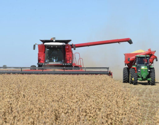 La actividad económica mostró una recuperación mensual en febrero Se proyectan US$ 34.530 millones del agro en 2026