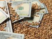 La actividad de la cadena agropecuaria volvió a crecer en febrero y alcanzó un nuevo máximo histórico La actividad de la cadena agropecuaria volvió a crecer en febrero y alcanzó un nuevo máximo histórico