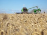 Se proyectan US$ 34.530 millones del agro en 2026 Se proyectan US$ 34.530 millones del agro en 2026