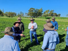 El secreto del éxito global del Maní Argentino El secreto del éxito global del Maní Argentino