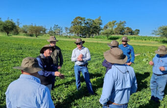 El secreto del éxito global del Maní Argentino El secreto del éxito global del Maní Argentino