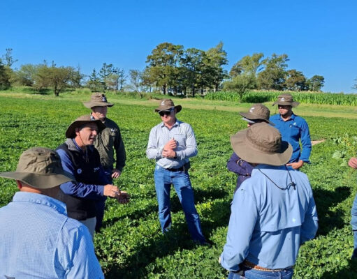 El secreto del éxito global del Maní Argentino El secreto del éxito global del Maní Argentino