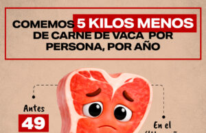 Comemos 5 kilos menos de carne y más del 25% de los precios siguen siendo impuestos. Cambios en la mesa de los argentinos y el efecto Medio Oriente Comemos 5 kilos menos de carne y más del 25% de los precios siguen siendo impuestos. Cambios en la mesa de los argentinos y el efecto Medio Oriente