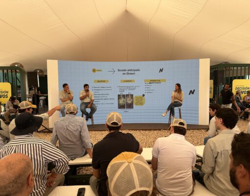 El girasol se corre del mapa y conquista nuevas zonas a fuerza de buenos resultados El girasol se corre del mapa y conquista nuevas zonas a fuerza de buenos resultados