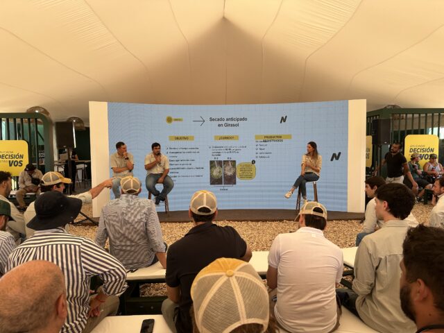 El girasol se corre del mapa y conquista nuevas zonas a fuerza de buenos resultados