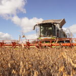 Por qué cosechar con CLAAS permite ahorrar casi medio millón de pesos por día