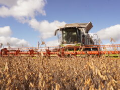 ¿Por qué cosechar con CLAAS permite ahorrar casi medio millón de pesos por día? Por qué cosechar con CLAAS permite ahorrar casi medio millón de pesos por día