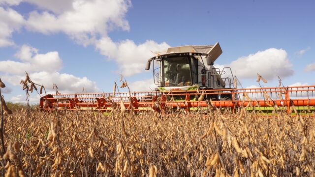 Por qué cosechar con CLAAS permite ahorrar casi medio millón de pesos por día