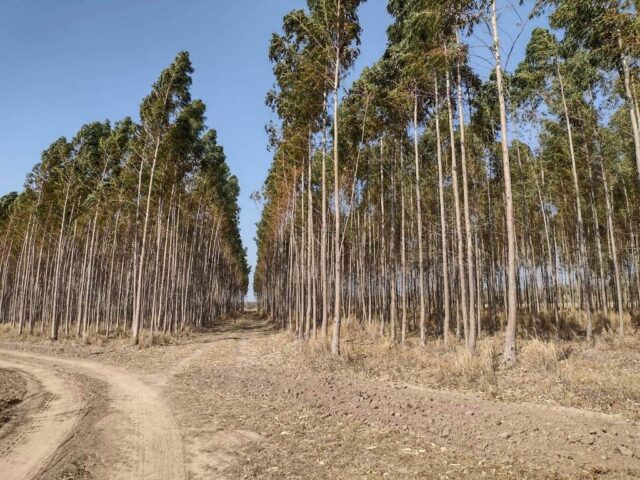 149° Congreso Maderero de FAIMA en Santa Fe