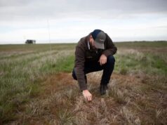 El agro da un salto histórico: Argentina incorpora una tecnología clave contra malezas resistentes El agro da un salto histórico: Argentina incorpora una tecnología clave contra malezas resistentes