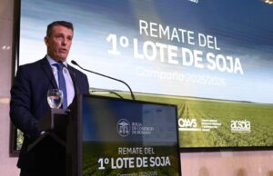 Bortolato: “Cuando las instituciones trabajan juntas, las cosas empiezan a suceder” Bortolato: “Cuando las instituciones trabajan juntas, las cosas empiezan a suceder”