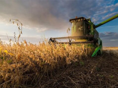 ¿Qué efectos tendría la eliminación de los derechos de exportación sobre la producción, las exportaciones y la recaudación fiscal en Argentina? ¿Qué efectos tendría la eliminación de los derechos de exportación sobre la producción, las exportaciones y la recaudación fiscal en Argentina?