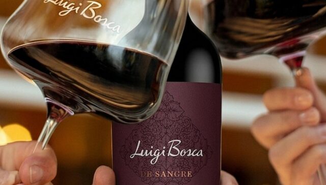 El primer Malbec D.O.C. de la Argentina