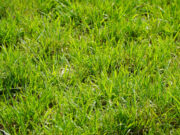 El valor del agua, uno de los ejes centrales del Simposio Regional Fertilidad 2026 El valor del agua, uno de los ejes centrales del Simposio Regional Fertilidad 2026