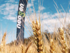 Buenas perspectivas productivas en un contexto de márgenes ajustados Buenas perspectivas productivas en un contexto de márgenes ajustados