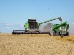 La actividad agroindustrial retrocede luego de meses récord La actividad agroindustrial retrocede luego de meses récord