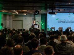 Cuál es la estrategia de nutrición de maíz para maximizar el rinde potencial por planta Cuál es la estrategia de nutrición de maíz para maximizar el rinde potencial por planta
