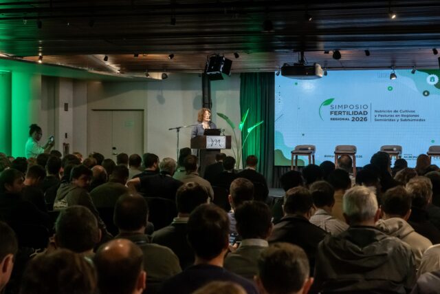 Cuál es la estrategia de nutrición de maíz para maximizar el rinde potencial por planta