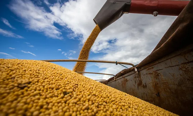 Soja-En-Granos La actividad económica creció 0,2% en abril