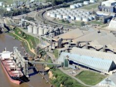 El Gran Rosario se ubicó como el principal nodo portuario agroexportador del mundo en 2025 El Gran Rosario se ubicó como el principal nodo portuario agroexportador del mundo en 2025