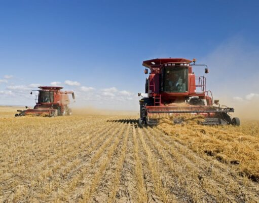 La actividad de la cadena agropecuaria recuperó dinamismo en mayo y quedó cerca de su máximo histórico La actividad de la cadena agropecuaria recuperó dinamismo en mayo y quedó cerca de su máximo histórico